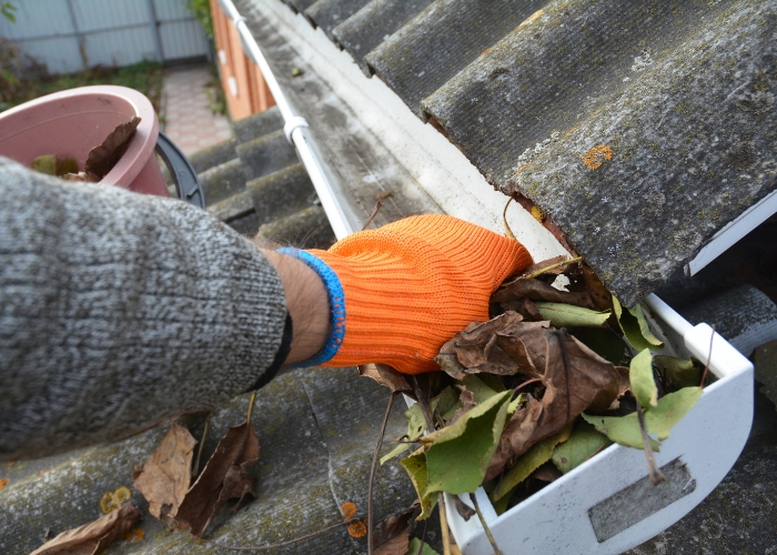 gutter cleaning