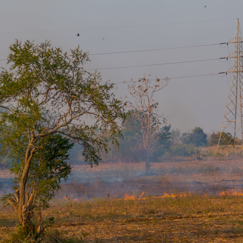 powerline